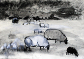 Schafe I, 2009, 70cm x 100cm, Kohle, Kreide, Papier
