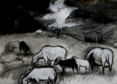 Schaflandschaften II, 2008, 70cm x 50cm, Kohle, Kreide, Papier
